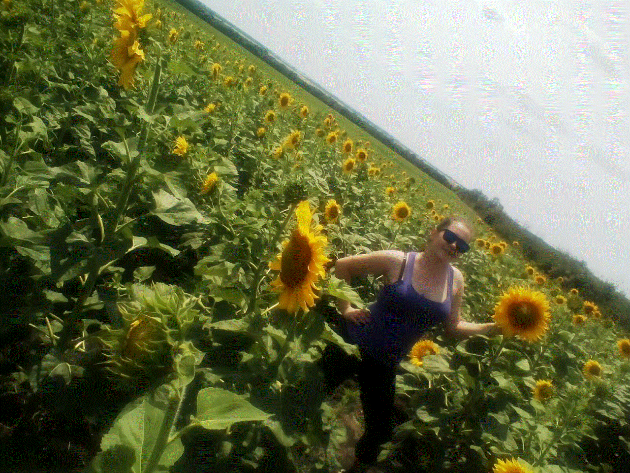 Бджільництво
